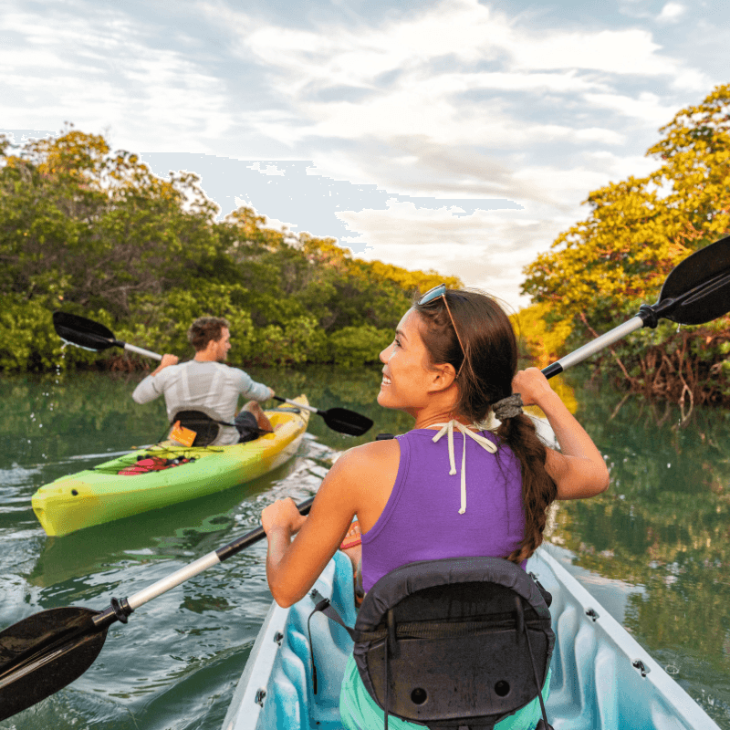 Two people kayaking through mangroves at Oleta River State Park